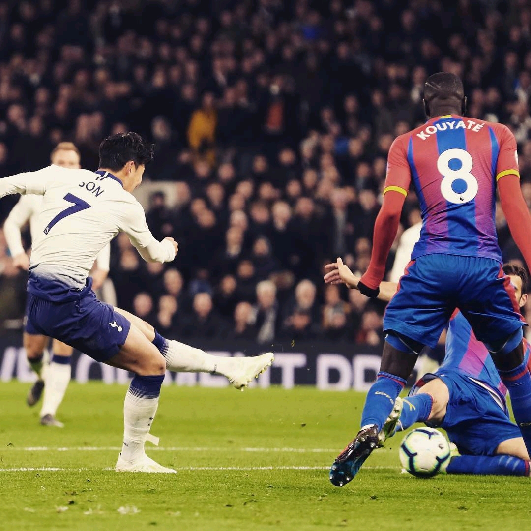 的提前预告 的提前预告